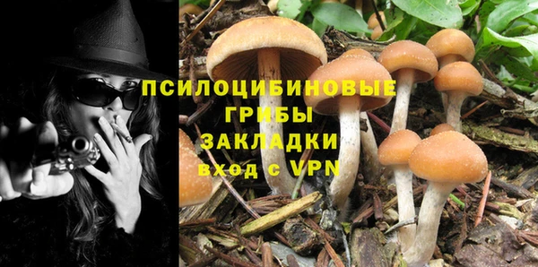 бутират Новозыбков
