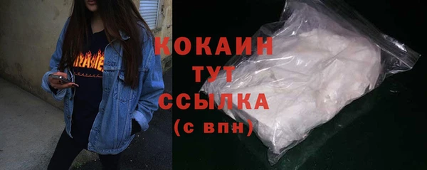 PSILOCYBIN Новодвинск